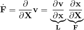\begin{equation*} \dot{\mathbf{F}}=\frac{\partial}{\partial\mathbf{X}}\mathbf{v}=\underbrace{\frac{\partial\mathbf{v}}{\partial\mathbf{x}}}_{\mathbf{L}}\underbrace{\frac{\partial\mathbf{x}}{\partial\mathbf{X}}}_{\mathbf{F}} \end{equation*}
